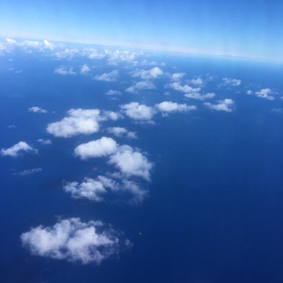 Meet your Posher, Syd - Picture 3 of 3